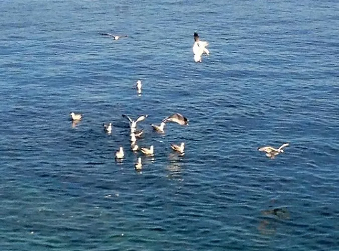 Apartmani Val Blue Apartman